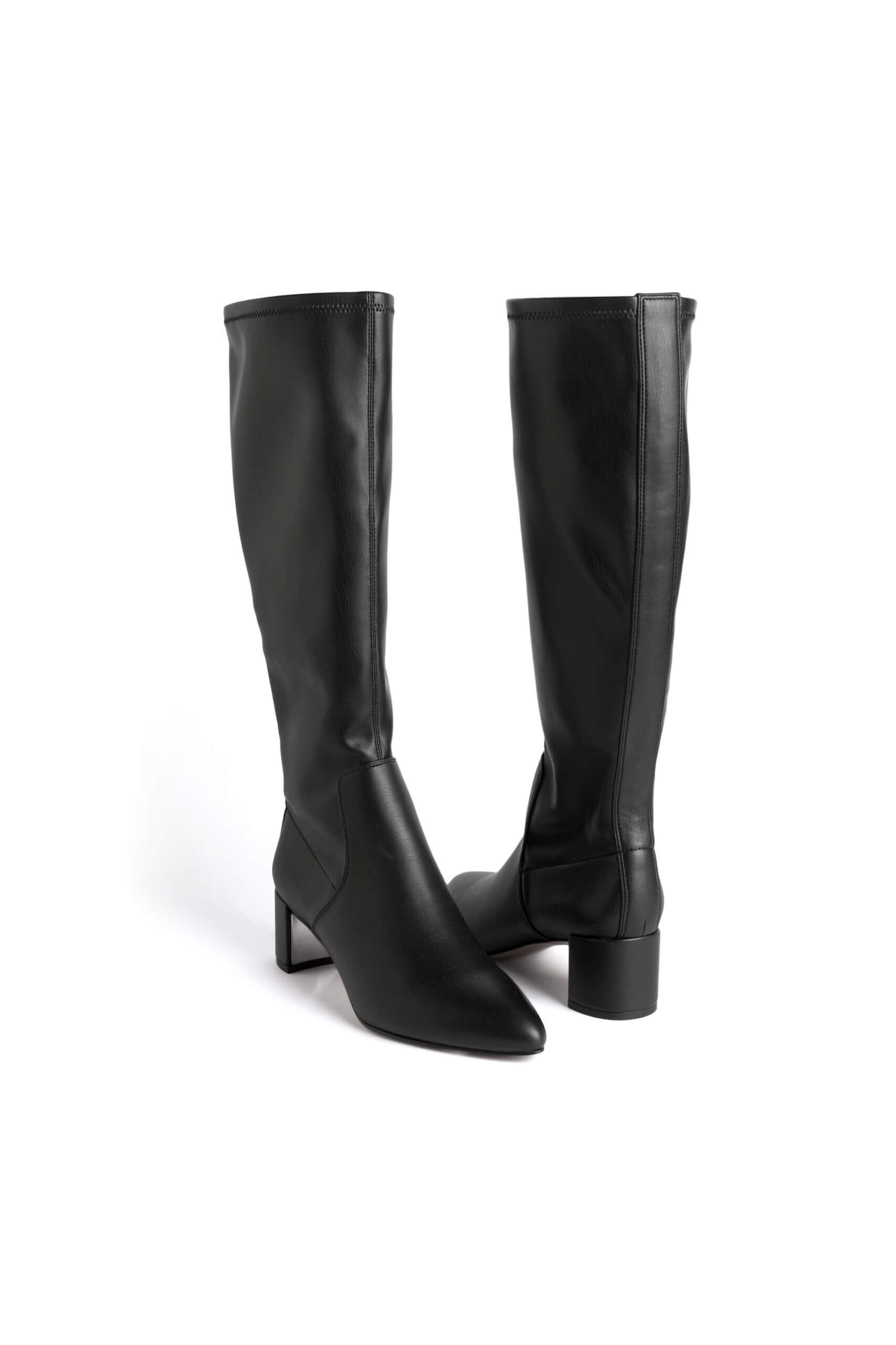Stitch Fix women’s tall black leather boots.
