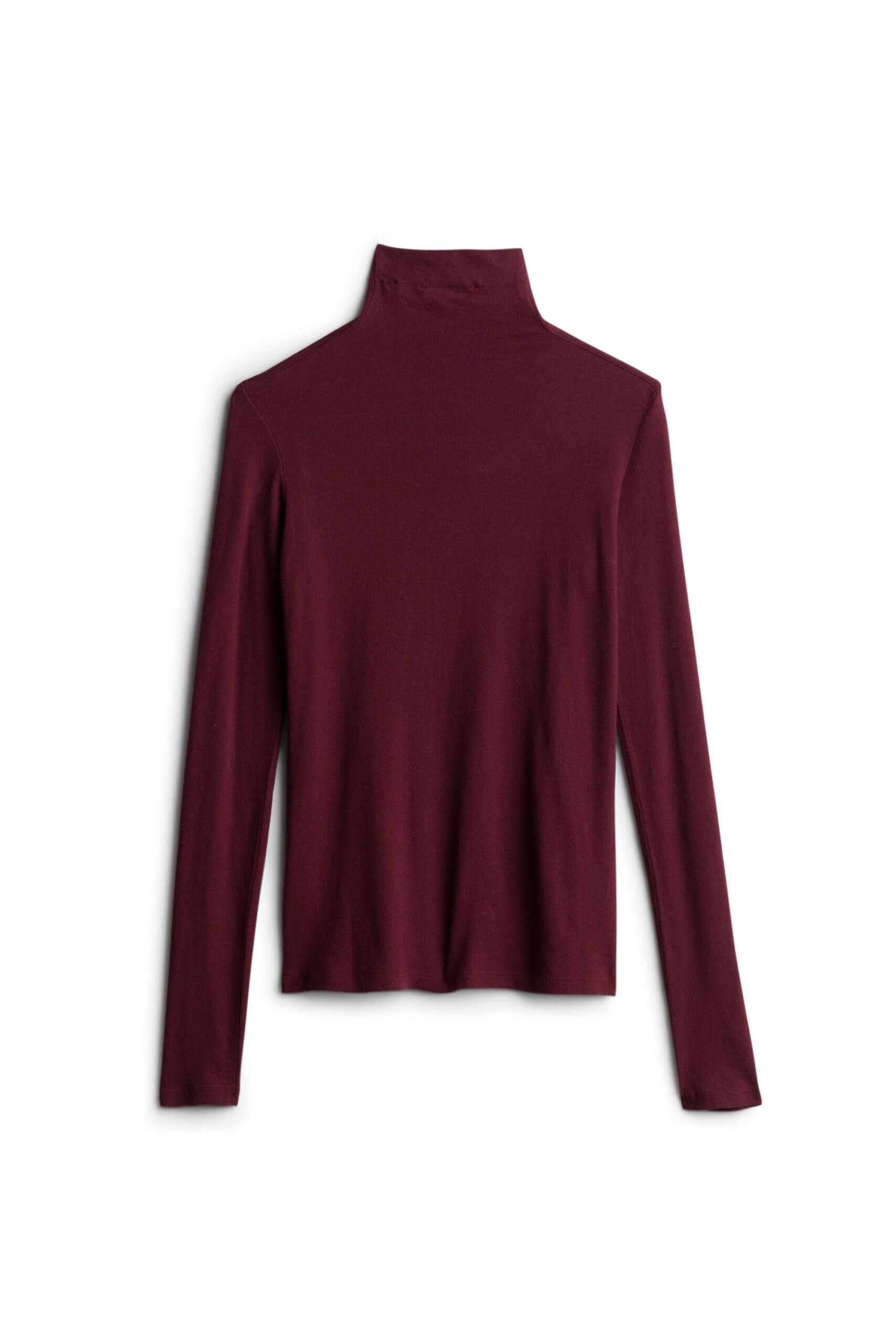 Stitch Fix women’s burgundy knit turtleneck.