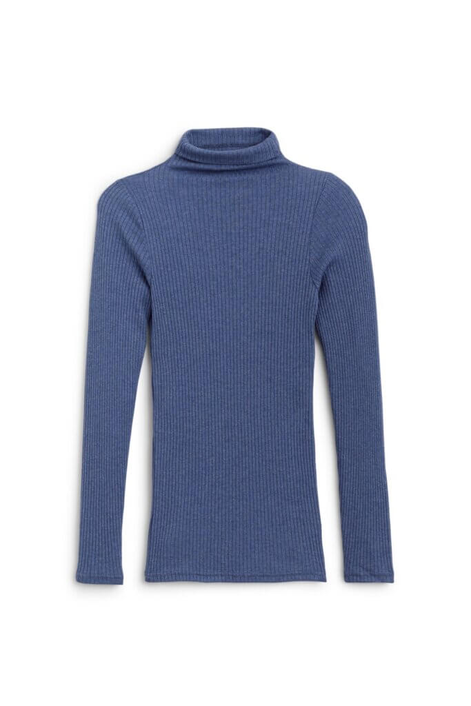 Stitch Fix women’s blue turtleneck.