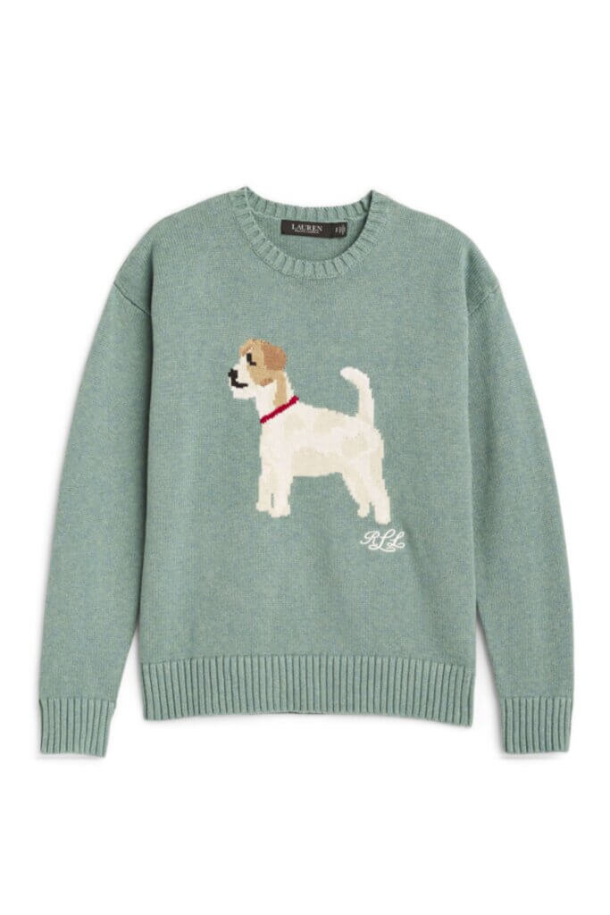 Stitch Fix Women’s light teal pullover sweater with dog graphic.