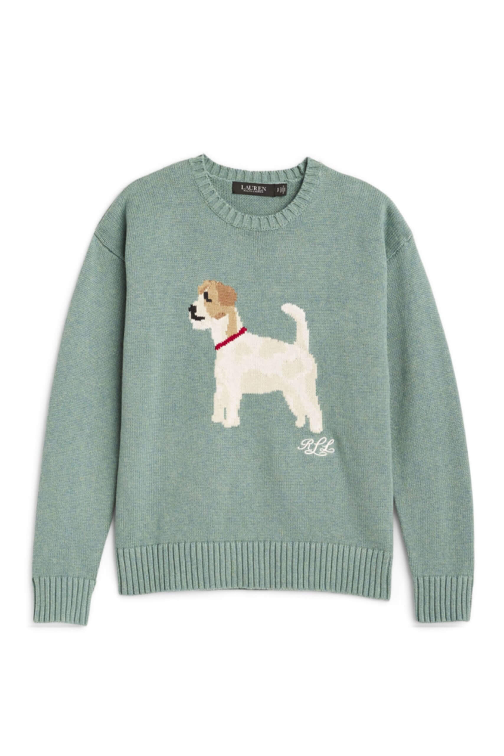 Stitch Fix Women’s light teal pullover sweater with dog graphic.