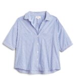 Stitch Fix women’s blue and white striped short-sleeved button-down.