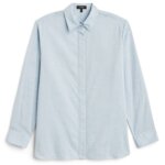 Stitch Fix women’s business formal powder blue long-sleeved button-down shirt.