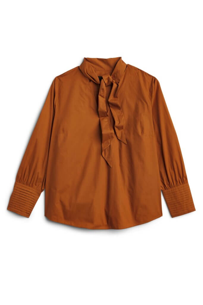 Stitch Fix women’s carmel long sleeve blouse with tie neck detailing.