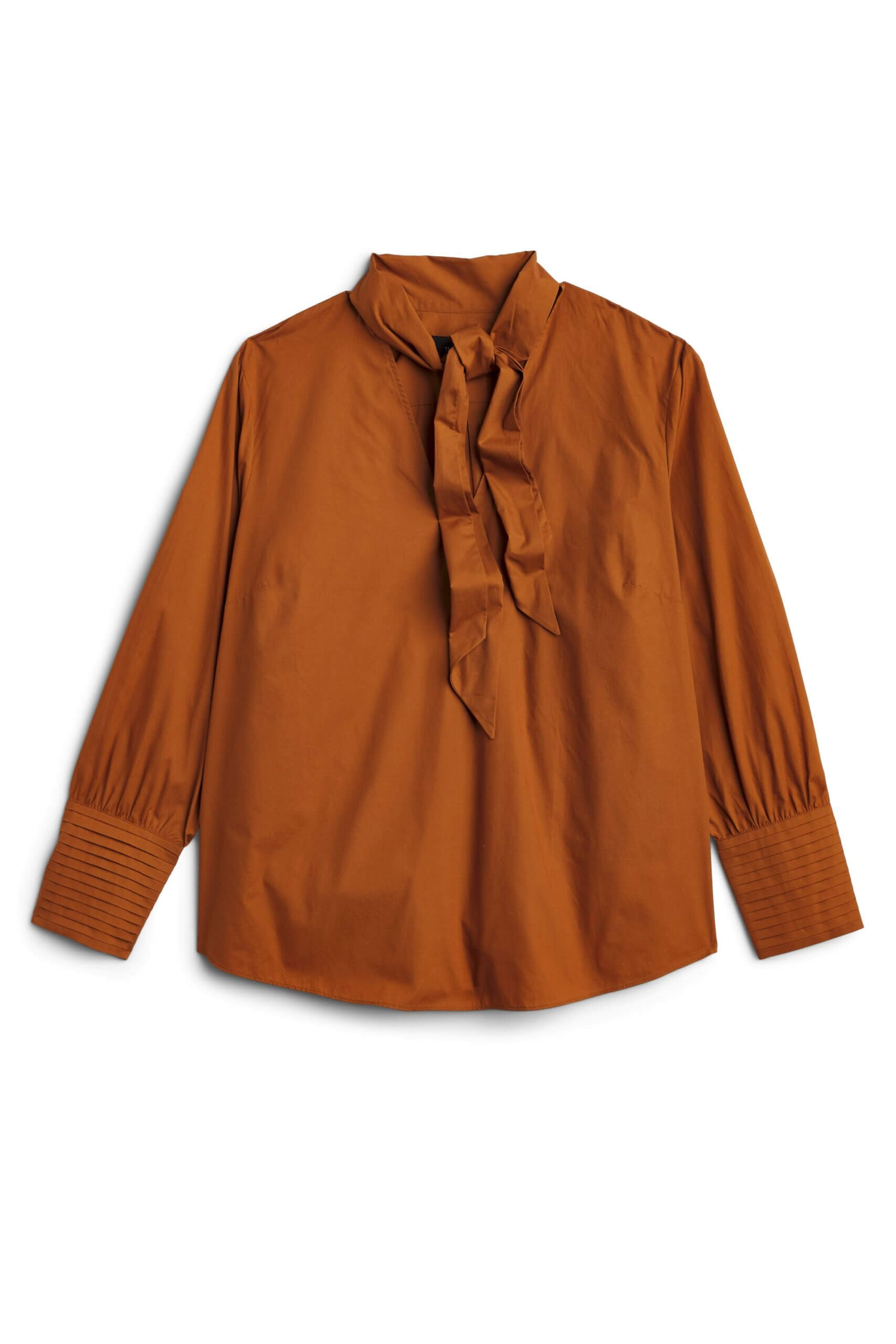 Stitch Fix women’s carmel long sleeve blouse with tie neck detailing.